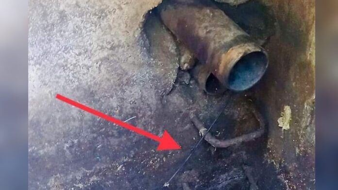 Belvedere, manomesso il depuratore comunale