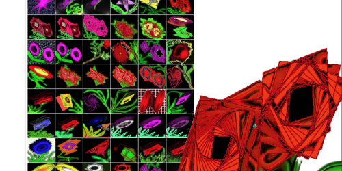 Spirali tortuose e giochi prospettici, all'Unical nascono i "gioielli del caos"