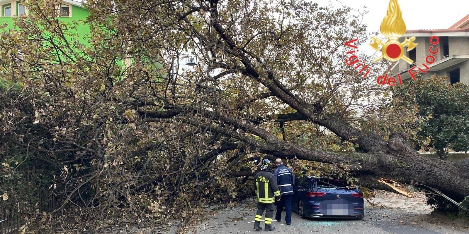 Rende, un albero cade su un’auto in transito: ferito il conducente – VIDEO