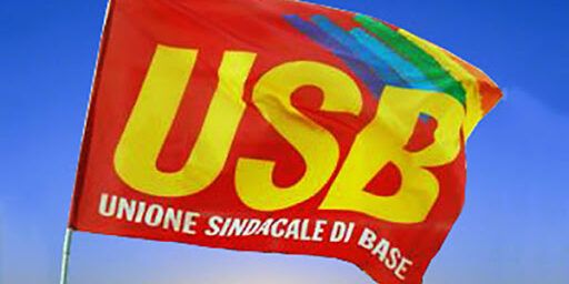 L’Usb Unical: «A sostegno dei collaboratori precari e degli idonei al profilo bibliotecario di categoria C»