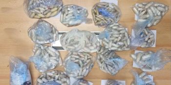 Bagaglio sospetto in stazione, all’interno trovati quasi 8 kg di droga