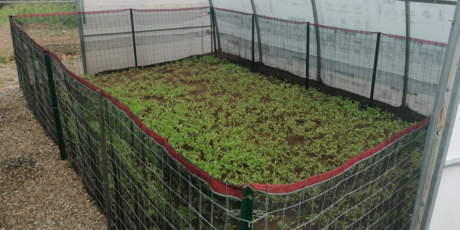 Concluso il progetto “Sgusciatə”: l’agricoltura come strumento di inclusione socio-lavorativa