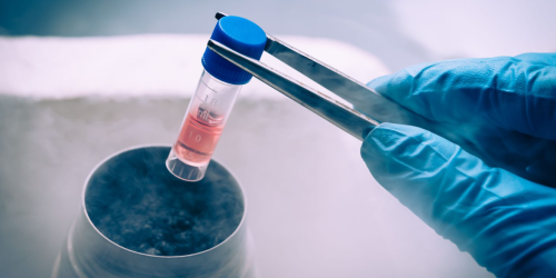 social freezing fertilità