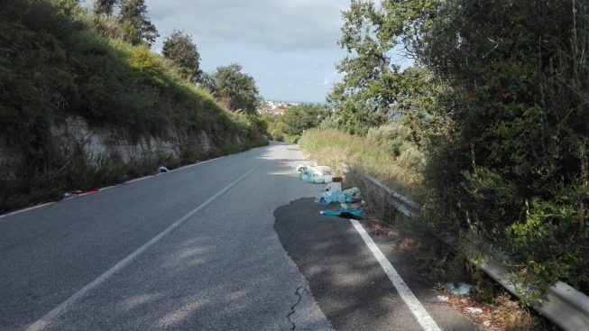 Vibo, la Provincia avvia i primi 17 interventi di pulizia delle strade