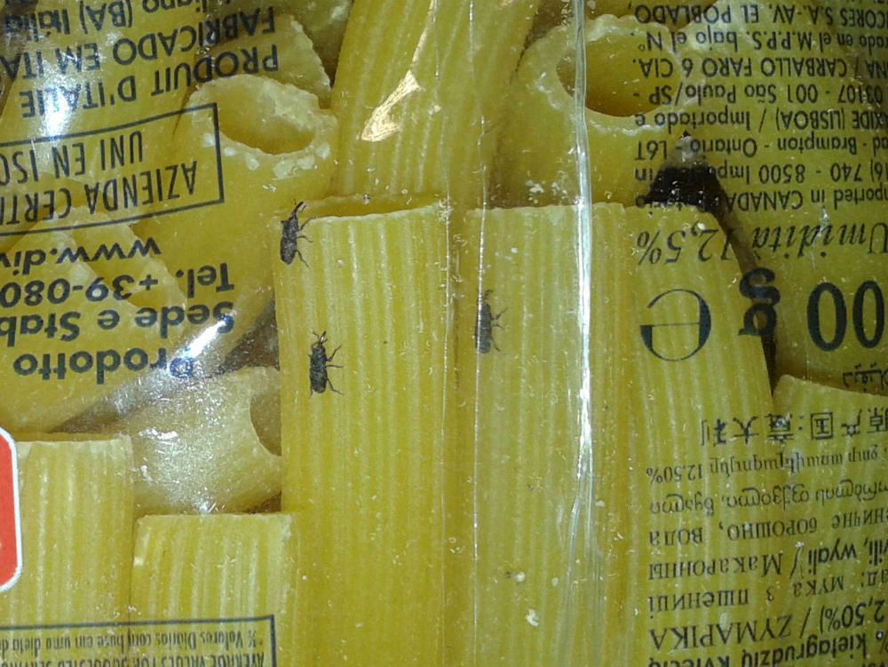 Parassiti nella pasta, sequestro dell`Asp