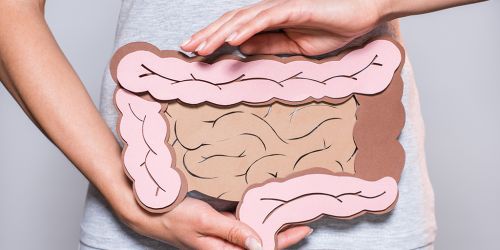 partial view of woman holding paper made large intestine on grey