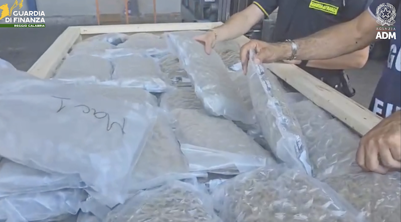 Oltre mille chili di marijuana in un container che trasportava legnami: il sequestro nel porto di Gioia Tauro – VIDEO