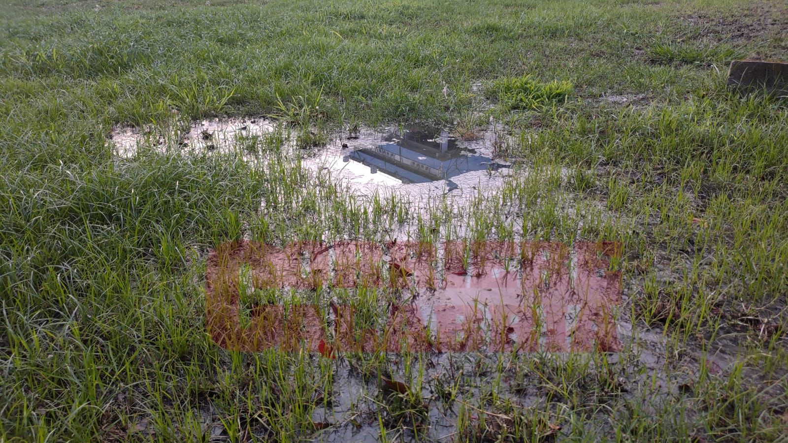 Cosenza, il “Comitato di località Badessa”: «non usufruiamo di un adeguato sistema fognario»