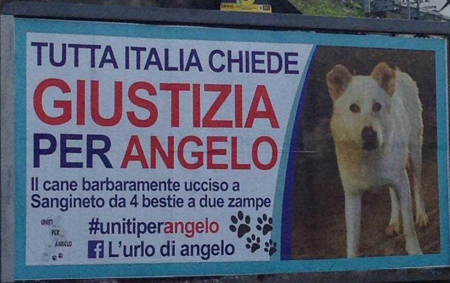 Una riflessione sul caso Angelo tra prevenzione e repressione