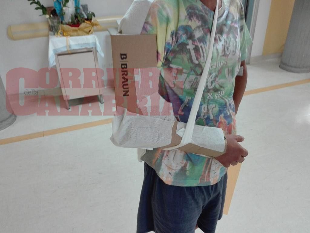 «Gessi di cartone usati fin dal 2015»