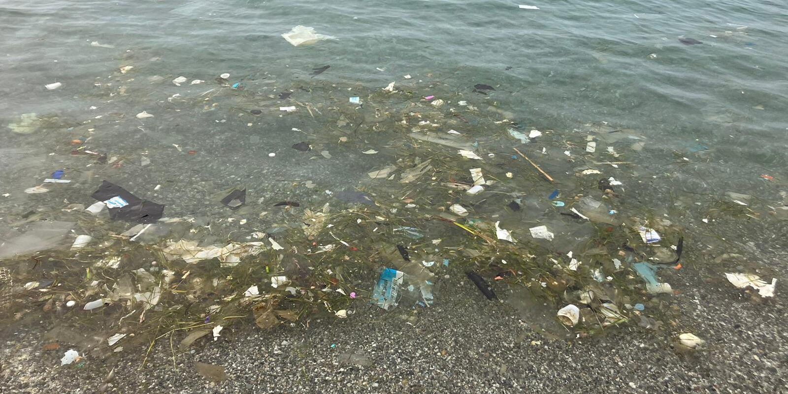 Mare nauseante tra i Comuni di Gizzeria e Falerna. E segnalare al portale della Regione è (quasi) impossibile – FOTO – VIDEO