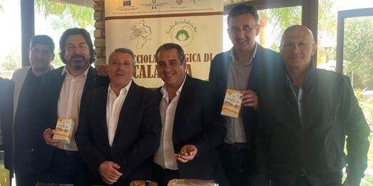 Gusto e qualità della materia prima, la nocciola Tonda di Calabria bio è protagonista – FOTO