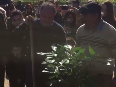 Gratteri pianta il proprio ulivo nel "Giardino dei giusti" a Fuscaldo – VIDEO