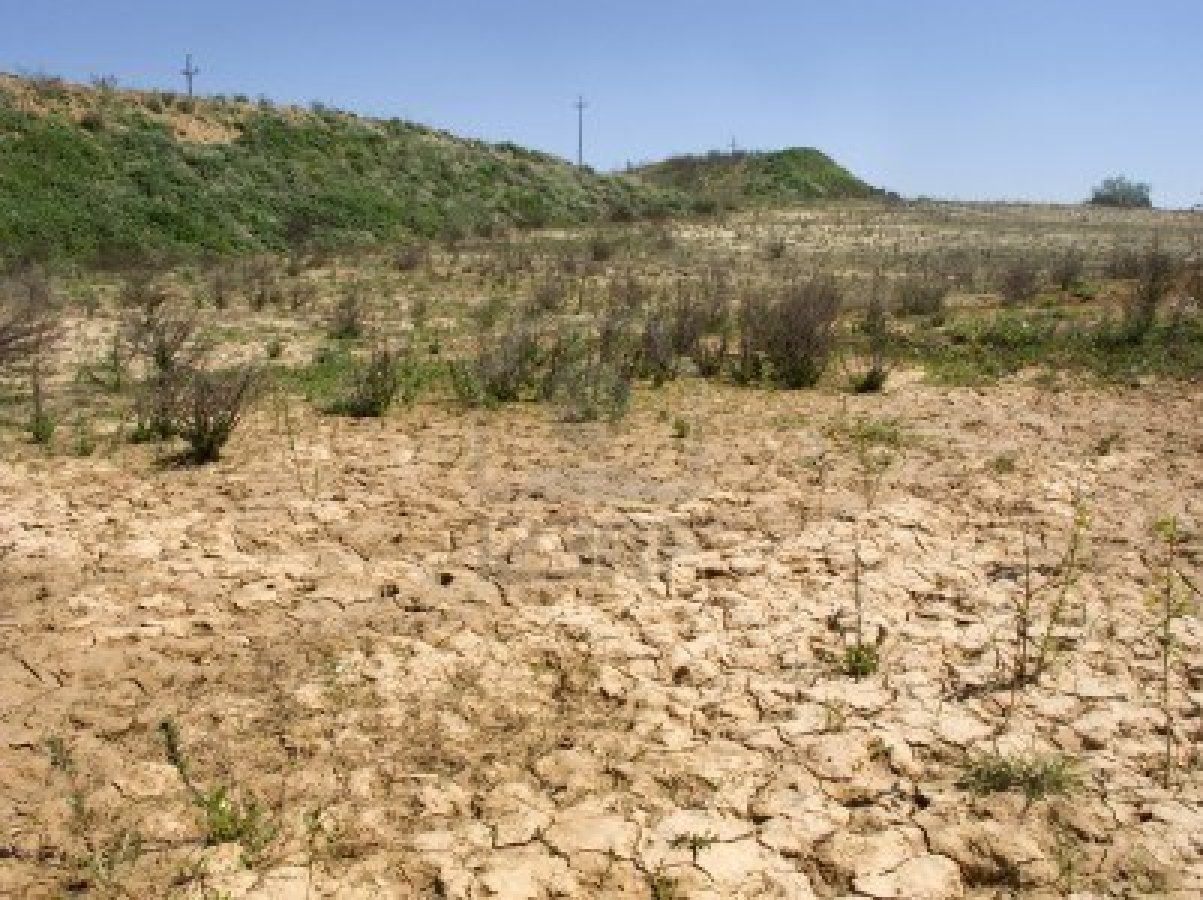 Emergenza siccità, risoluzione Pd in commissione Agricoltura