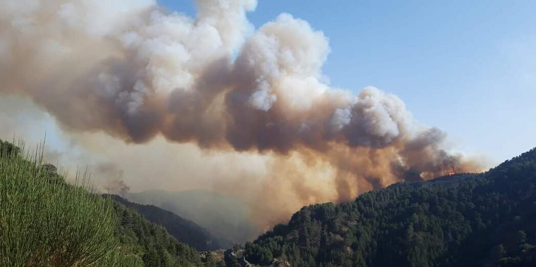 «Per spegnere gli incendi solo 450 forestali idonei». L’esercito di operai destinato a scomparire
