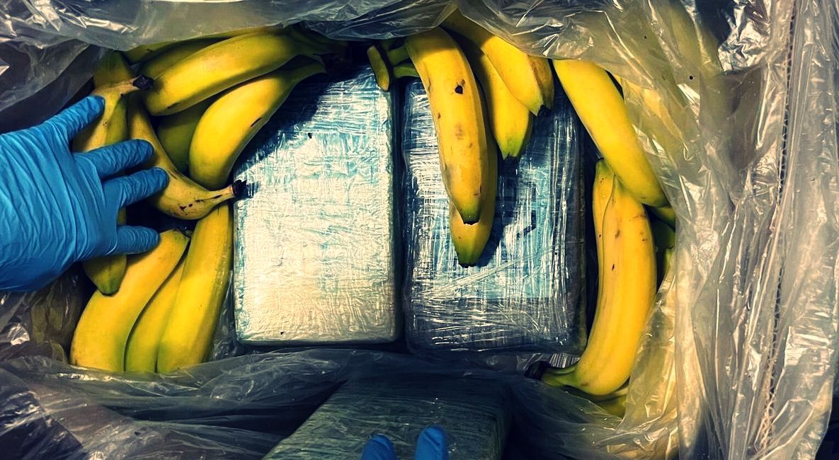 Tonnellate di cocaina e miliardi di euro: il business infinito della ‘ndrangheta «regina dei porti»