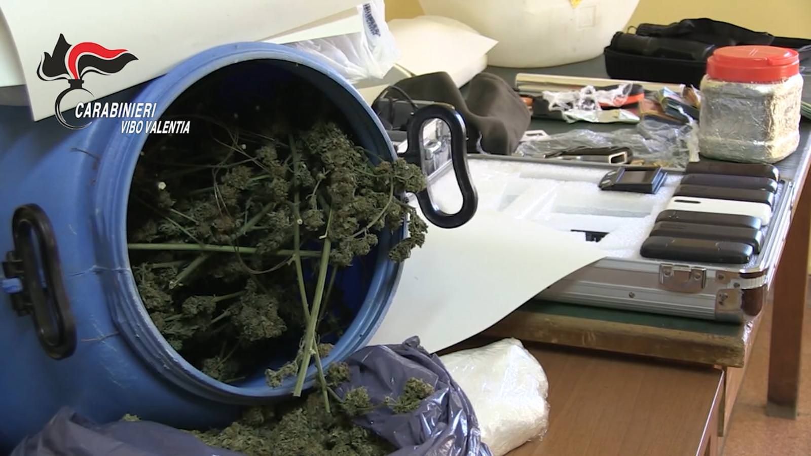 Microspie e armi per "difendere" le piantagioni, 4 arresti nel Vibonese