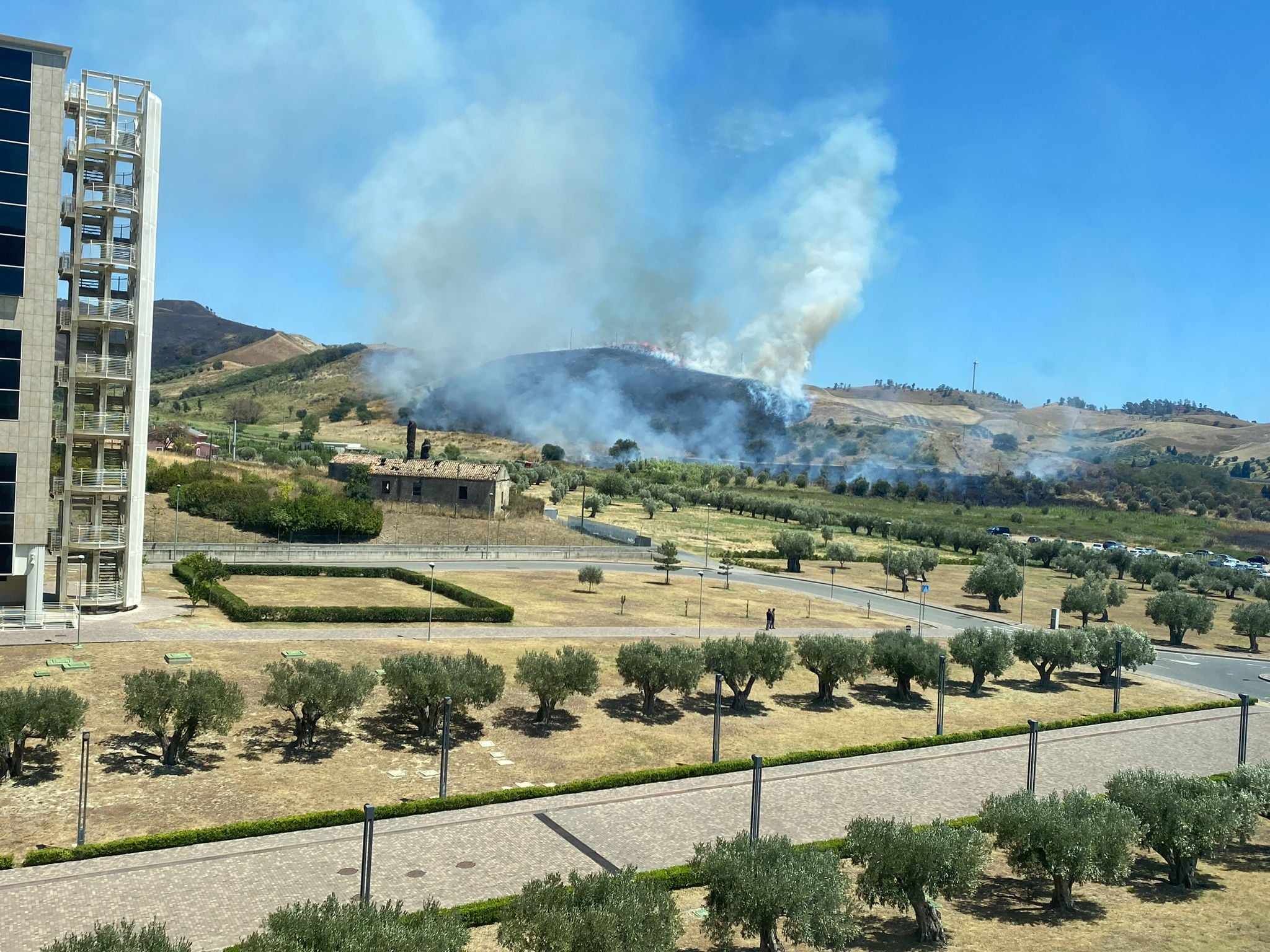 La Calabria brucia, le fiamme minacciano la Cittadella regionale – VIDEO