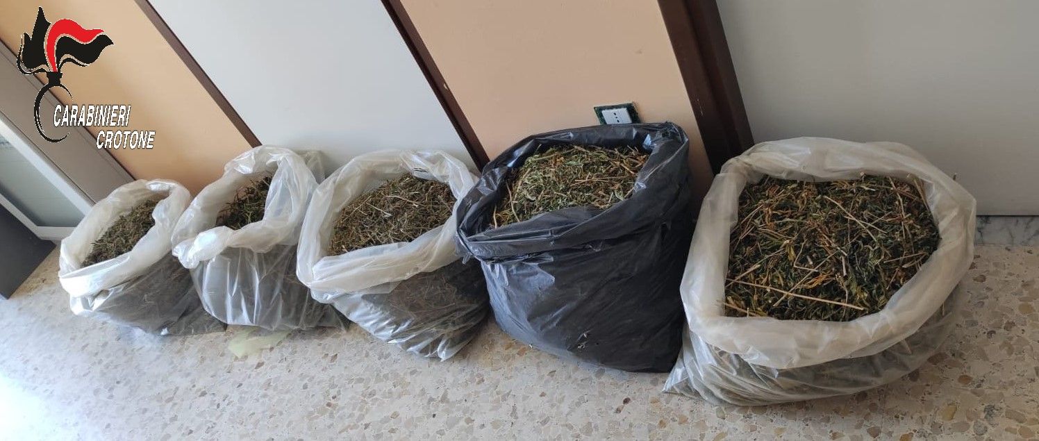 Maxi sequestro di droga a Cirò Marina, sanzioni a diverse attività commerciali