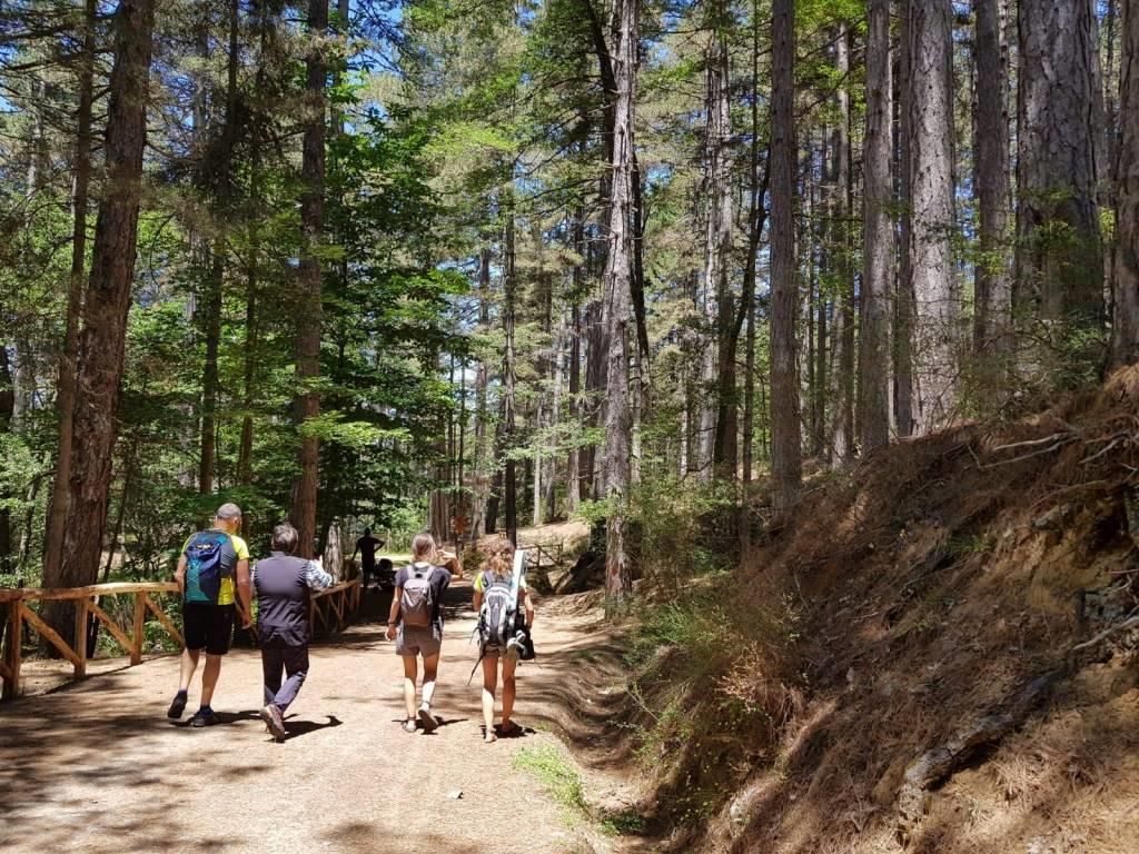 Trekking e antichi mestieri protagonisti nella quinta giornata del “Serreinfestival”