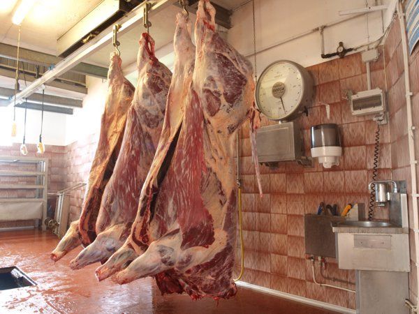 Macellazioni irregolari, alla sbarra i veterinari dell'Asp di Cosenza