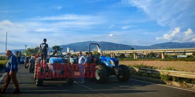 Agricoltori, riparte la protesta a Lamezia: trattori alla rotatoria dell’aeroporto – FOTO E VIDEO