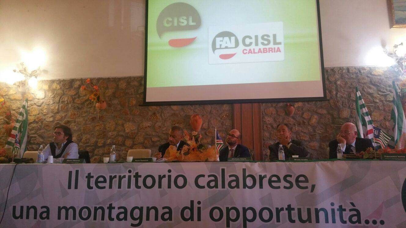 «Calabria Verde torni presto alla normalità»
