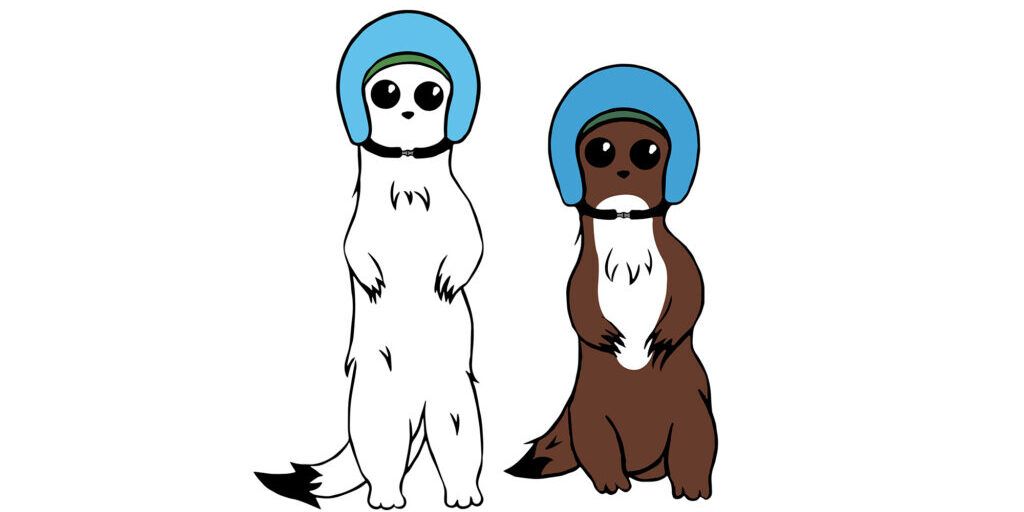 Milano-Cortina 2026, Mancuso: «I “Due Ermellini” degli alunni di Taverna simbolo di eguaglianza e sportività»