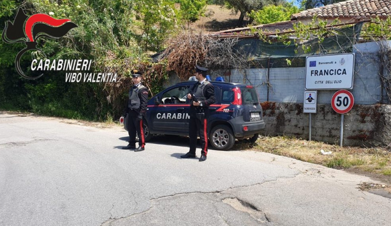 Inquietante “avvertimento” nel Vibonese, cane ucciso e appeso al cancello