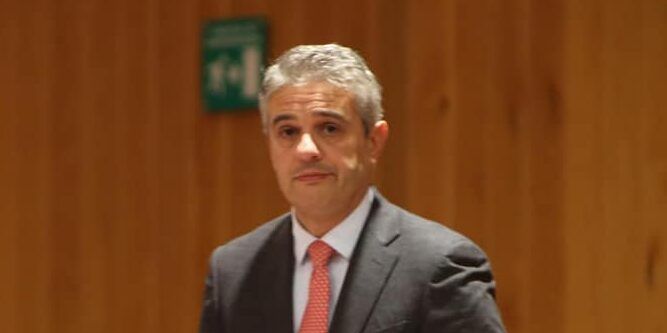 Pd, Mirabello: «È in atto un autentico scempio, c’è aria di pulizia etnica…»