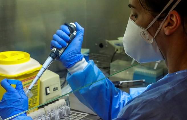 Covid-19, al via la sperimentazione del vaccino in Brasile