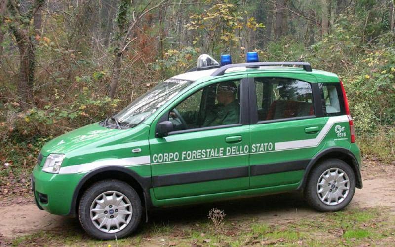 Si perdono nei boschi delle Serre, soccorsi dal Cfs