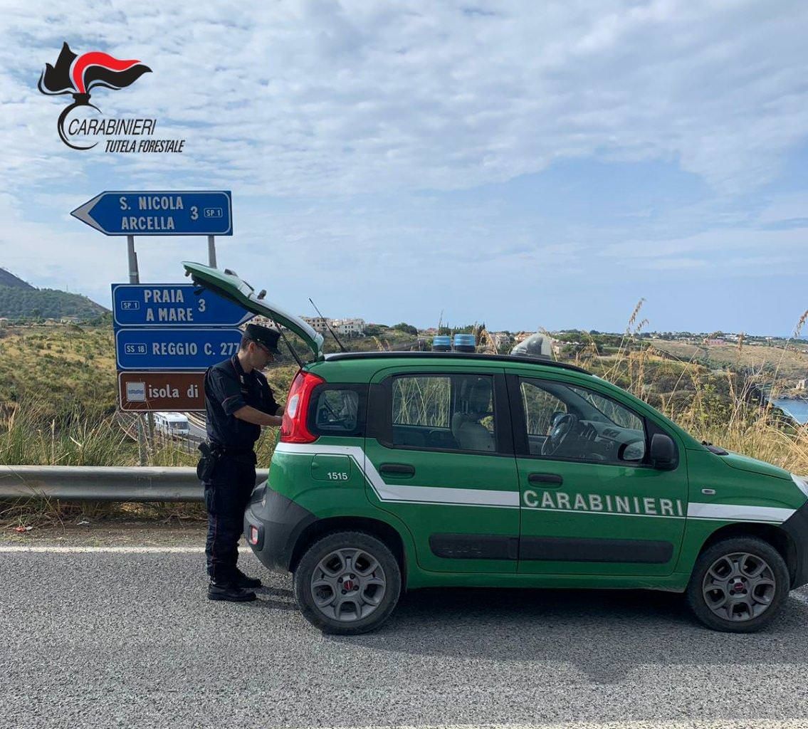 Buttava gli scarti nella vegetazione, denunciato un macellaio di Praia