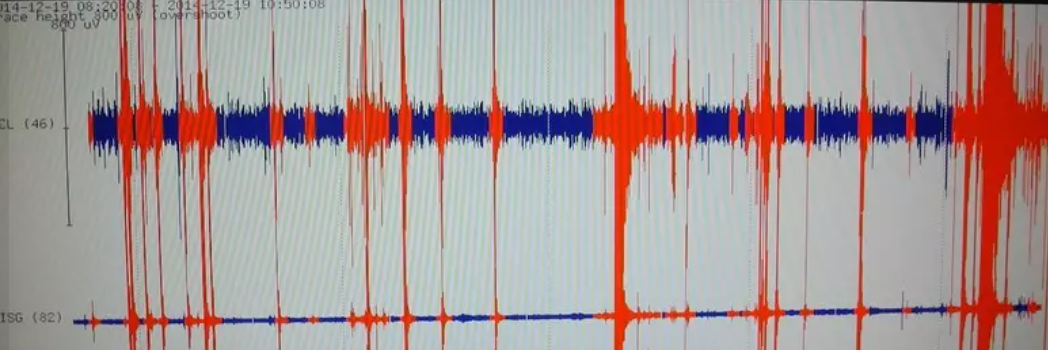 Terremoto di magnitudo 6,7 in Giappone, rischio tsunami