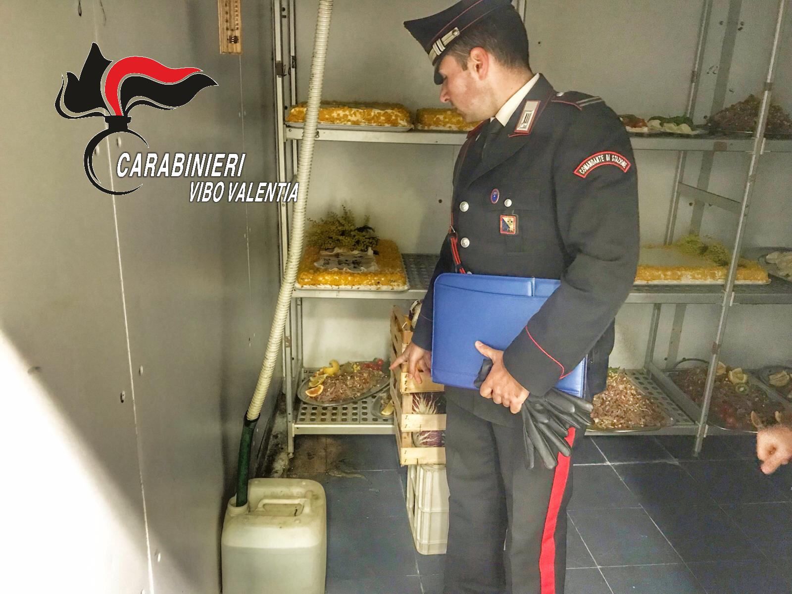 Pietanze tra gli escrementi di gatti e topi, maxi multa a un ristorante di Pizzo