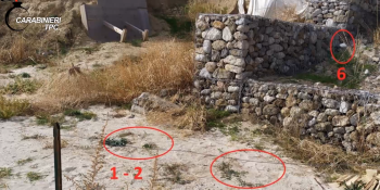 Dalla Sicilia alla Calabria, la razzia dei tombaroli: scavi clandestini a Scolacium e il “pastore” collezionista di monete