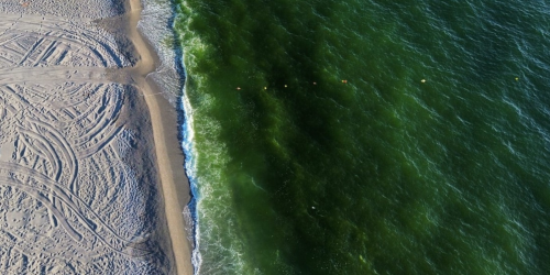 mare curinga spiaggia curinga