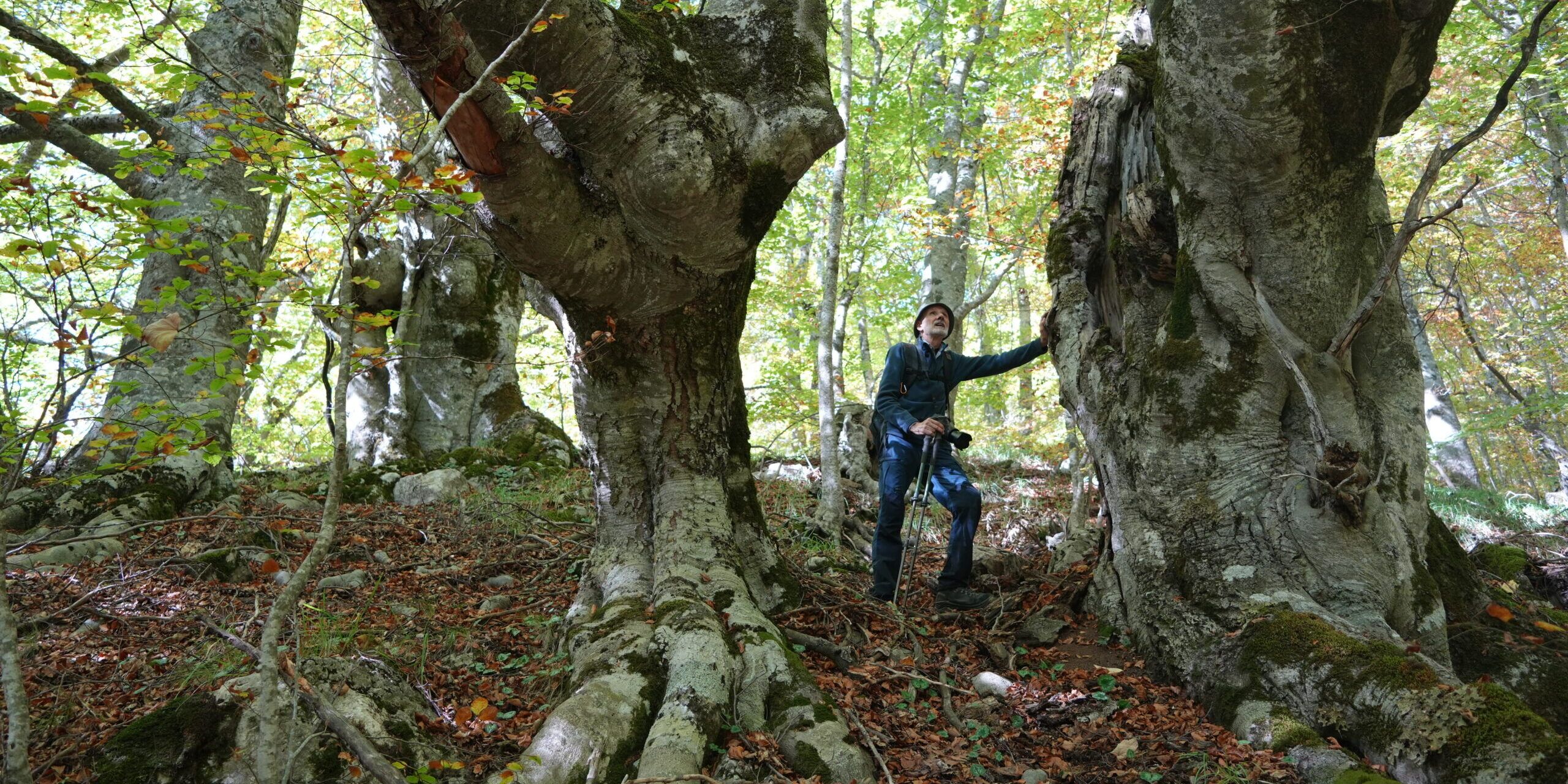 Piano Pallone e Manfriana: la follia che viene dagli dei