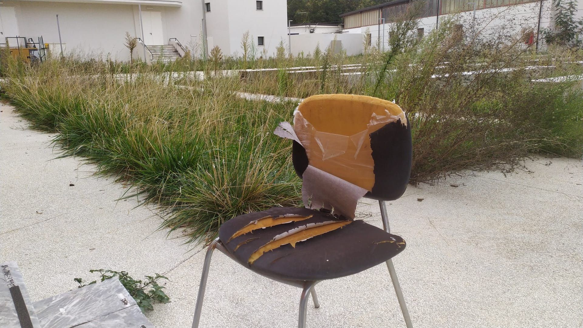 L’arena Tieri, simbolo decadente di una Cosenza immobile – FOTO