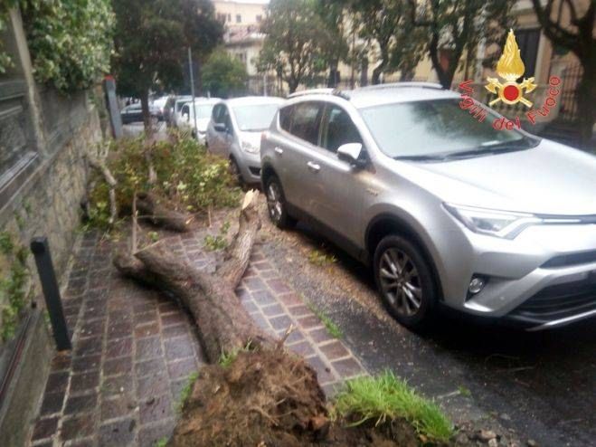 Danni per il forte vento, chiesto lo stato di emergenza