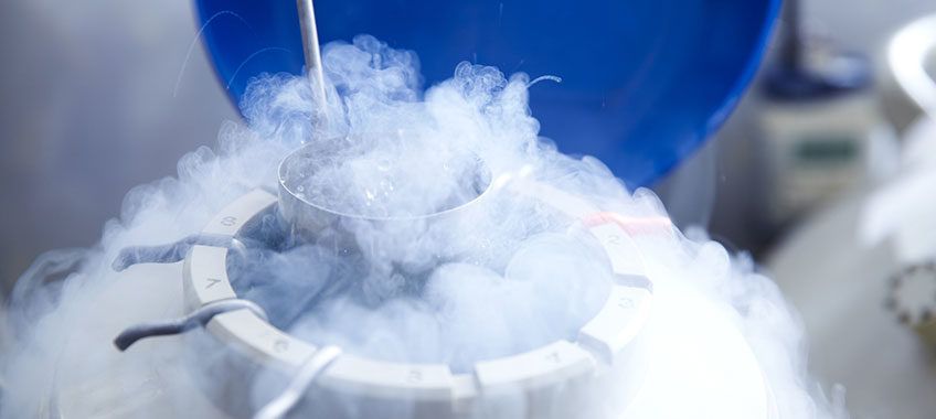 Annunziata, la banca del seme custodisce 430 campioni. «Punto di riferimento nel Meridione»