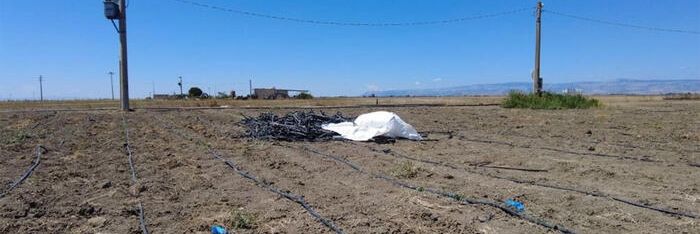 Duplice omicidio, padre e figlio trovati morti nel Foggiano