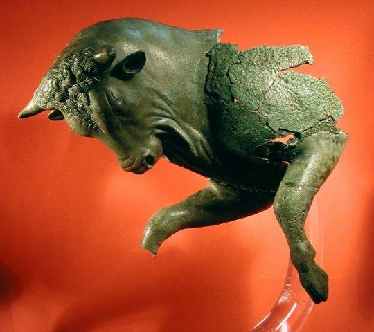 Il "Toro cozzante" di Sibari al Museo egizio di Torino