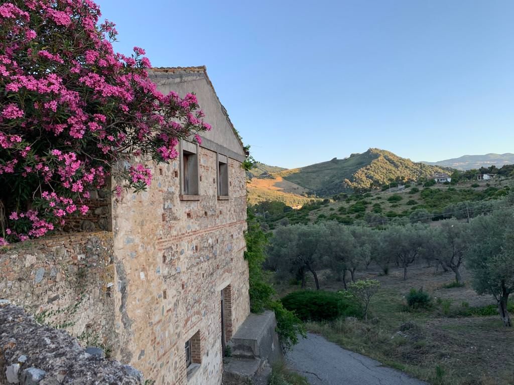 Il sogno dei giovani di Fiuminarso, «svelare il potenziale inespresso del Sud»