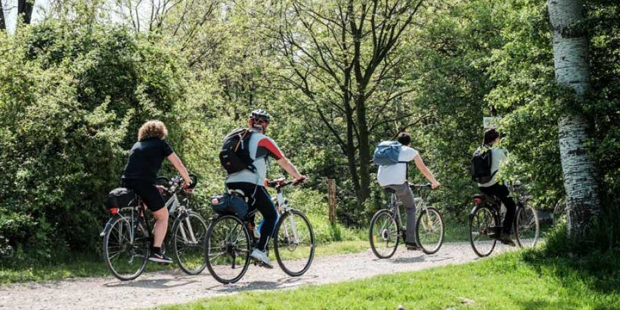 Prende il via il corso di specializzazione in cicloturismo e cicloescursionismo nel Parco delle Serre