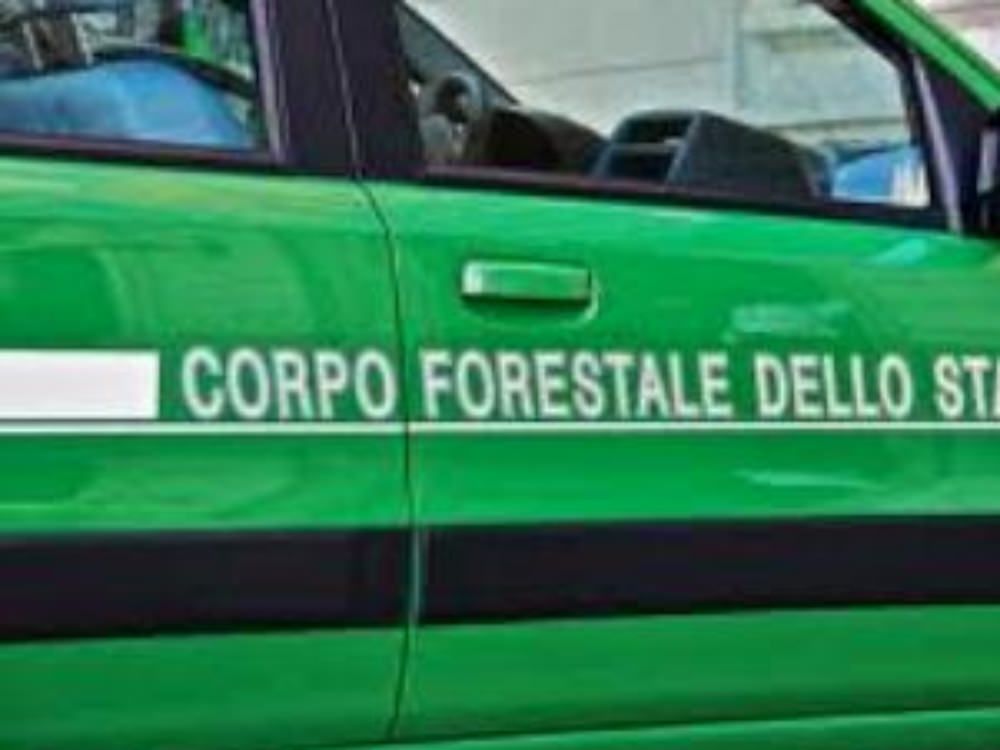 Gli sequestrano l`azienda, ma è una burla