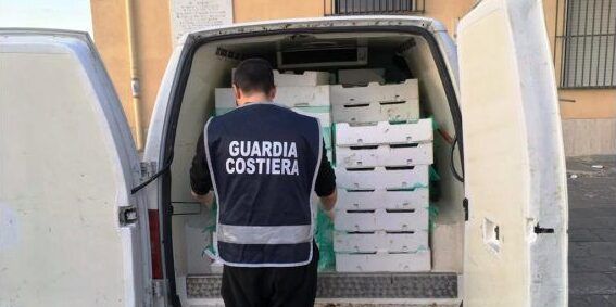 Cassano allo Ionio, sequestrati oltre tre quintali di bianchetto