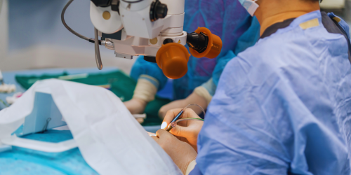 Il «sistema Scorcia» alla Dulbecco