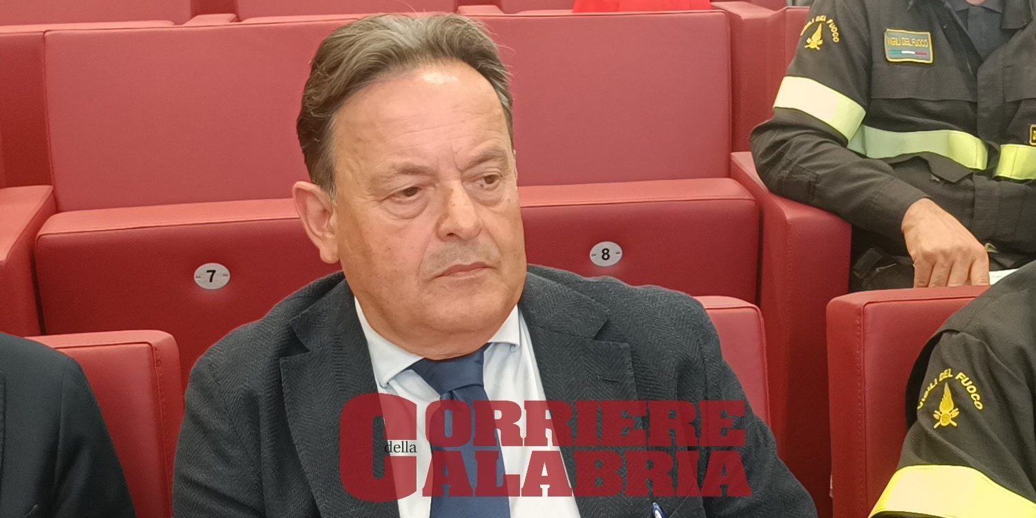 Forestazione, la pianificazione di “Calabria Verde”: «Puntiamo a una gestione sostenibile»
