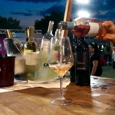 Vendemmia in Calabria, la sfida della qualità nell’estate più torrida